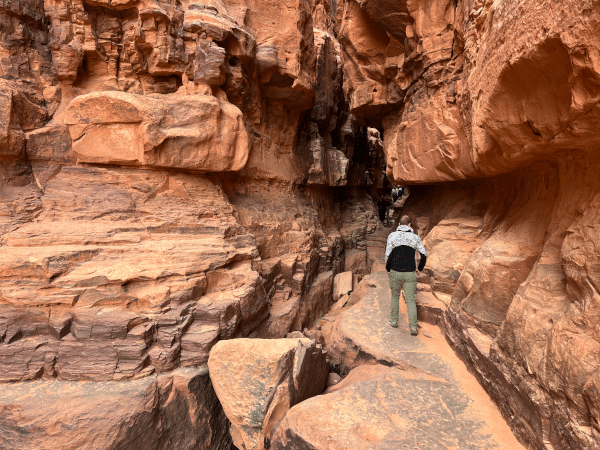 a tour of khazali canyon with Rakan wadi rum tours